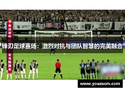 锋刃足球赛场：激烈对抗与团队智慧的完美融合